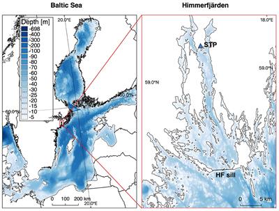 Summer Distribution of Total Suspended Matter Across the Baltic Sea